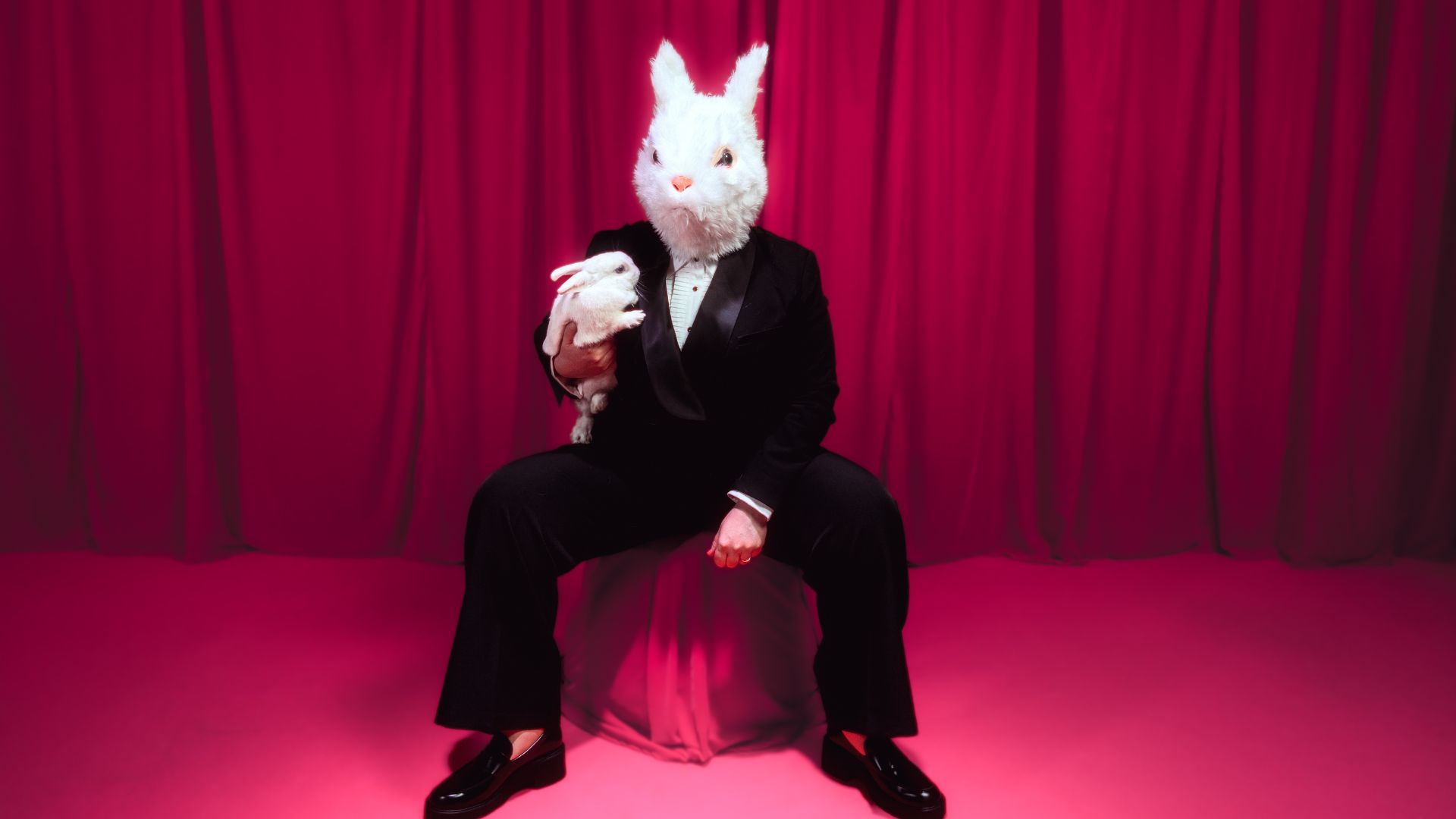A photograph of Jo Bannon wearing a white rabbit mask, seated in a commanding pose on a pink box placed on a vibrant pink carpet, with her legs apart. She is dressed in a black trouser suit and white shirt. She is holding a live white rabbit in one arm. The backdrop features bold pink velvet drapes.